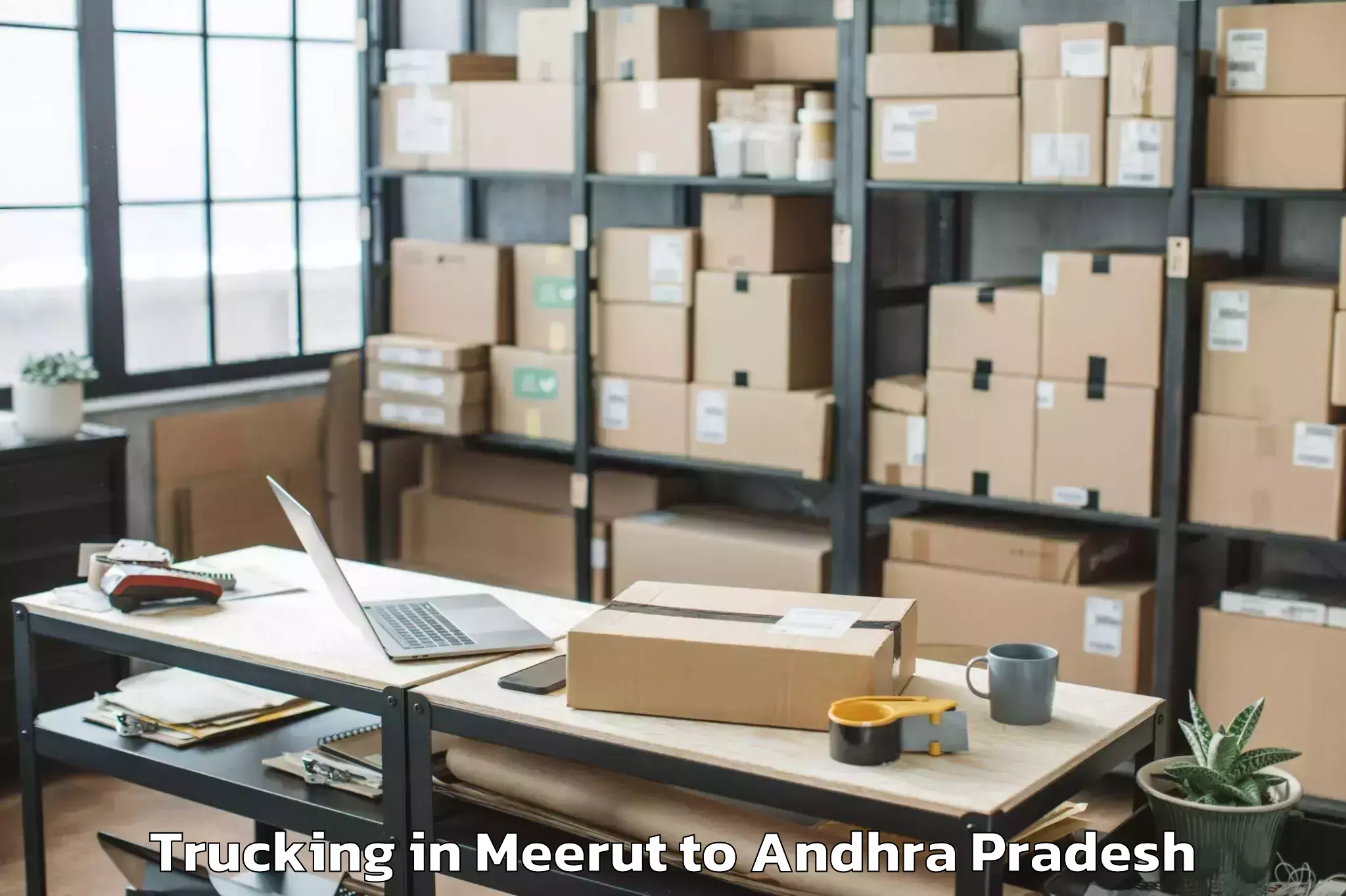 Top Meerut to Kandukur Trucking Available